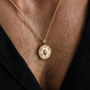 Altıgen Aslan Pia Erkek Kolye - 2