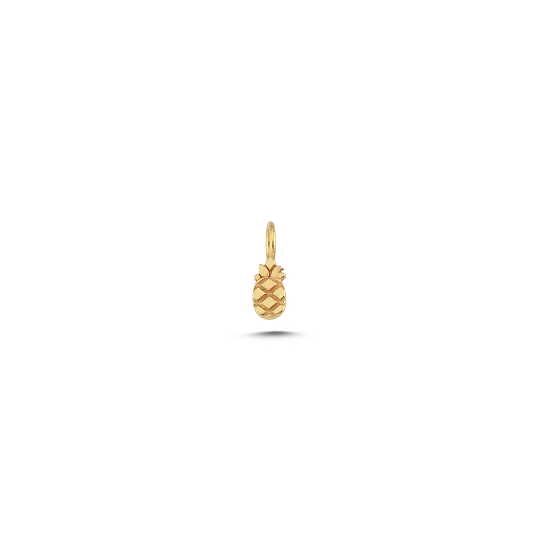 Ananas Charm - 1
