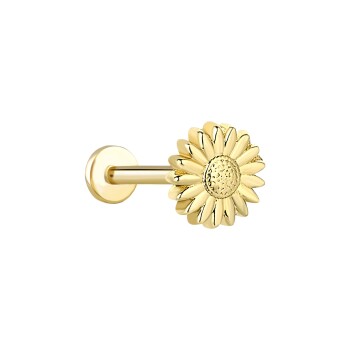 Ayçiçeği Tragus Piercing - Alen