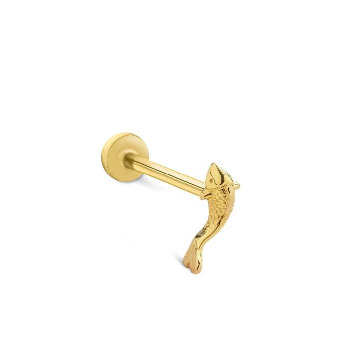 Big Balık Tragus - 1