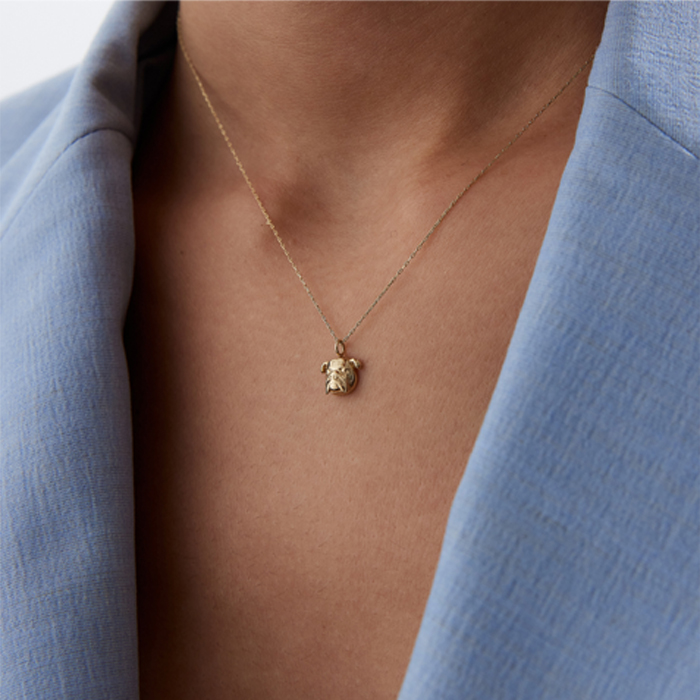 Buldog Kolye - Alen (1)