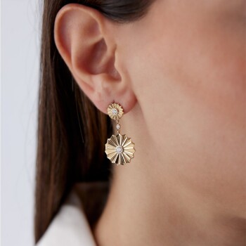 Çark Sallantı Küpe - Rayna