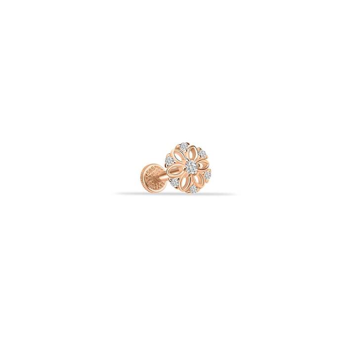 Daisy Bia Tragus - 1