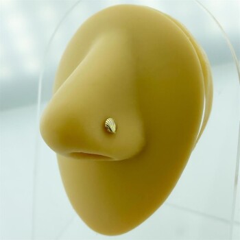 Deniz Kabuğu Motifli Altın Hızma - Dianora (1)