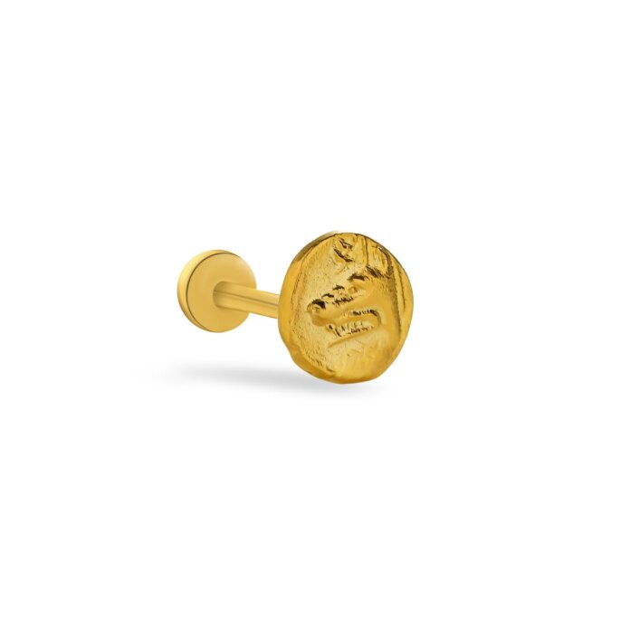 Donkey Tragus Piercing - 1