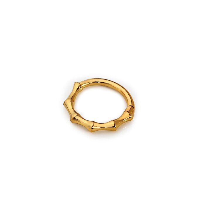 Kemik Helix Piercing - 1