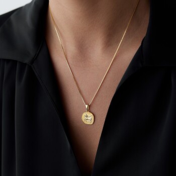 Koç Burcu Plaka Kolye - Koçak (1)