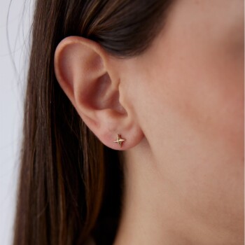 Kutup Yıldızı Küpe - Rayna (1)