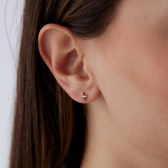 Kutup Yıldızı Küpe - Rayna