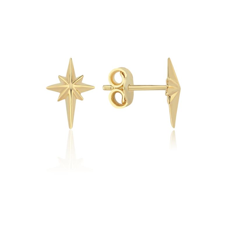 Kutup Yıldızı Vidalı Küpe - Rayna