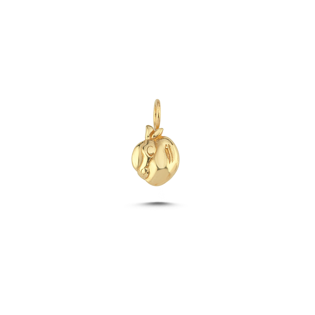 Ninja Kaplumbağa Charm - 1