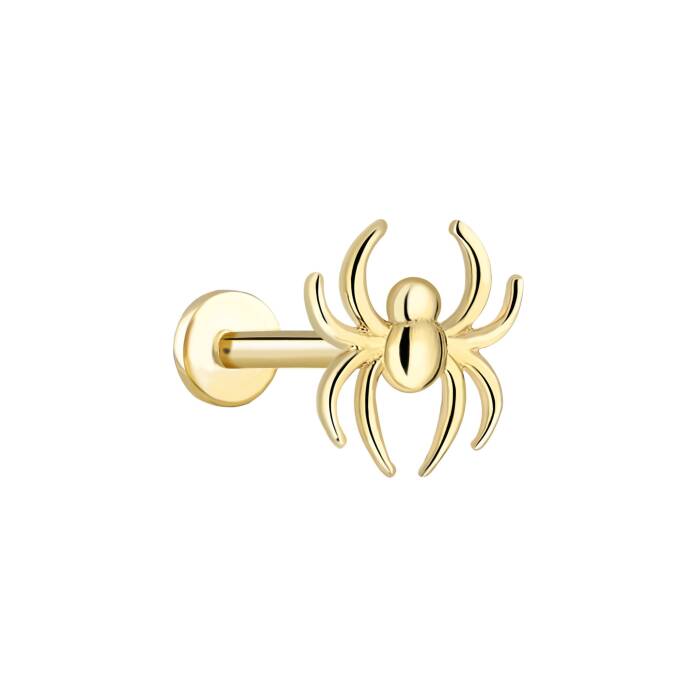Örümcek Tragus Piercing - 1