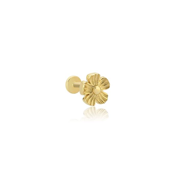 Papatya Tragus - 1