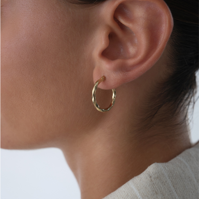 Shine Burgu Küpe - Karacan