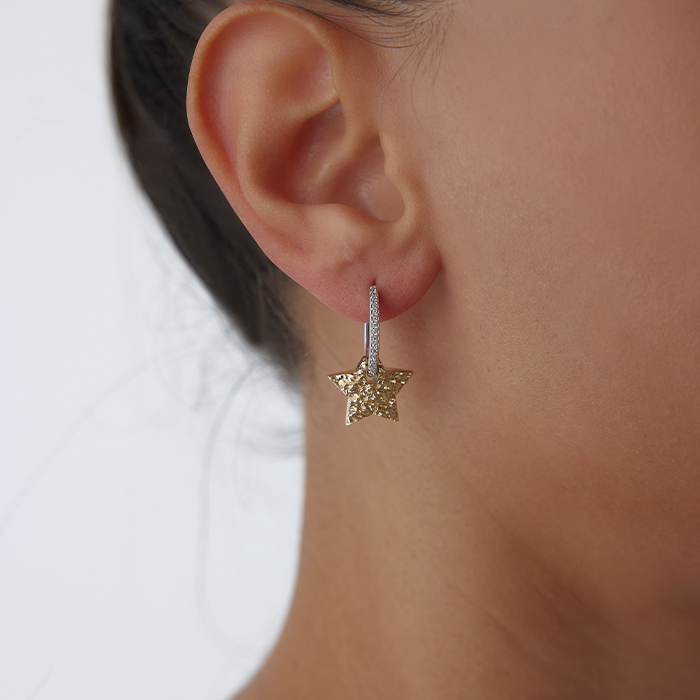 Shine Halka Yıldız Küpe - Reha (1)