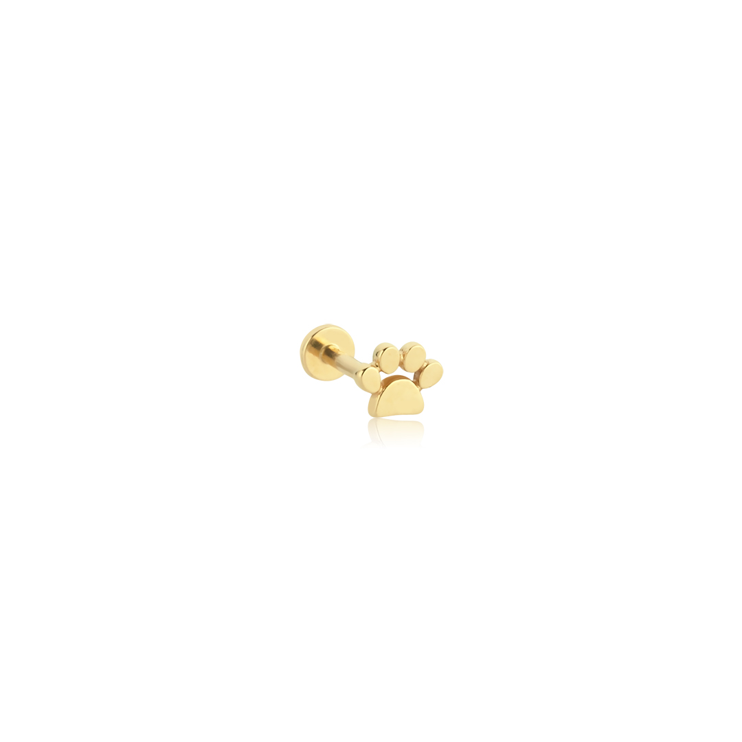 Simple Pati Tragus Piercing - 1