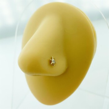 Taşlı Dümen Altın Hızma - Dianora (1)