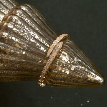 Stone Yılan Kelepçe - Mazi (1)