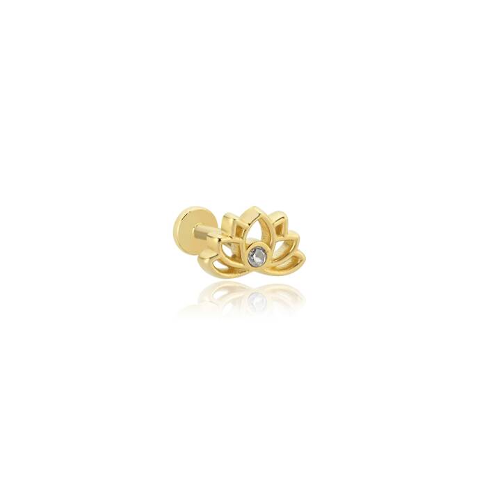Tektaş Lotus Tragus - 1