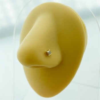 Tektaşlı Altın Hızma - Dianora (1)