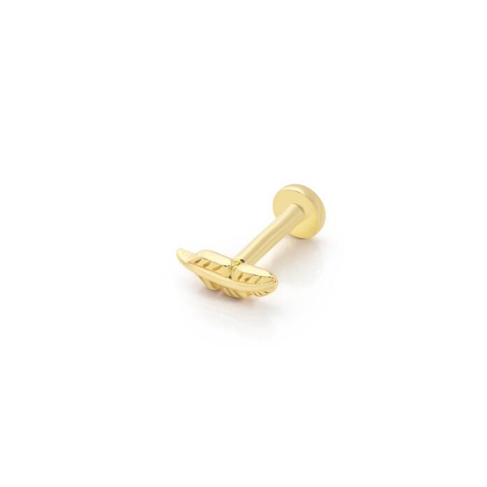 Tüy Model Minimal Tragus Piercing - 1