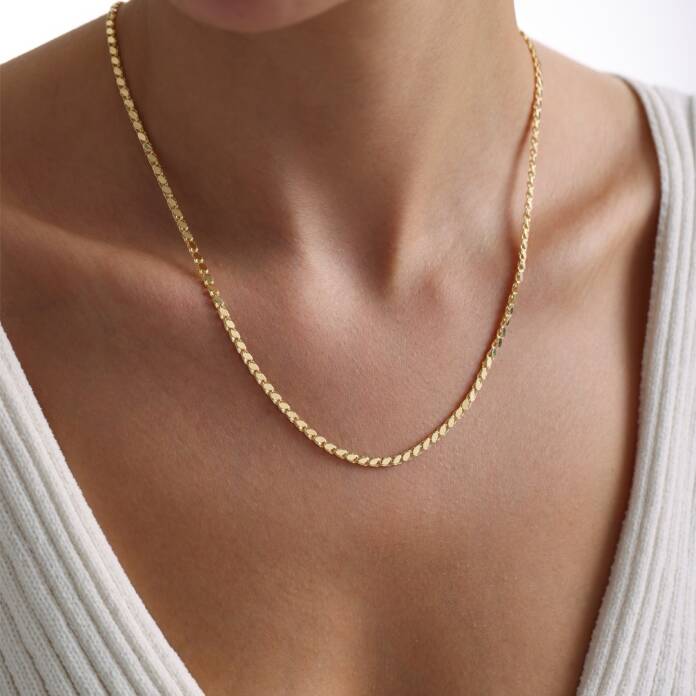 Type 1 Pullu Zincir - 1