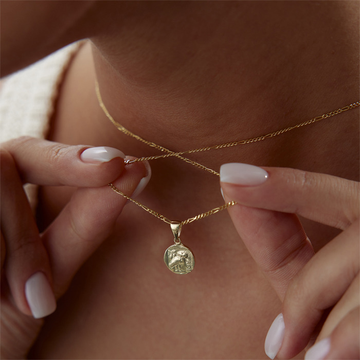 Type 2 Madalyon Kolye - Koçak (1)