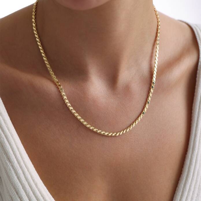 Type 2 Pullu Zincir - 1