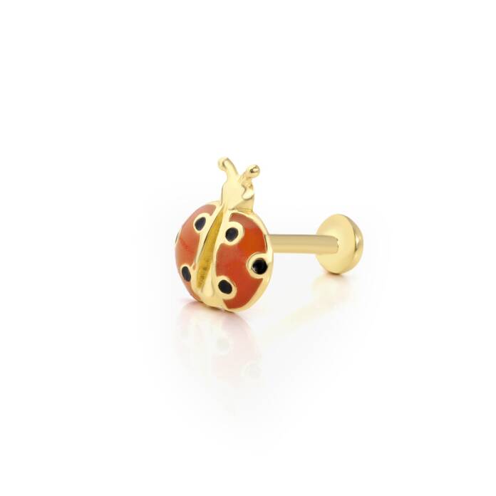 Uğur Böceği Model Tragus Piercing - 3