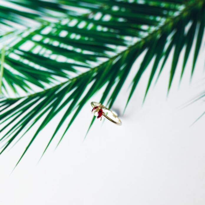 Uğur Böceği Yüzük - 3