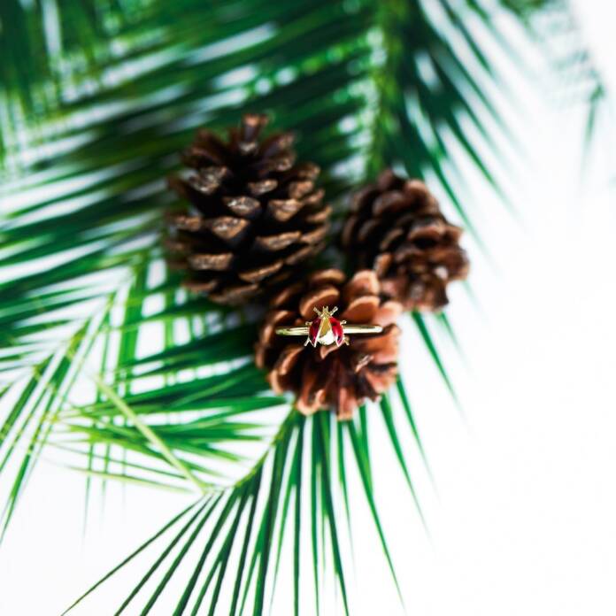 Uğur Böceği Yüzük - 4