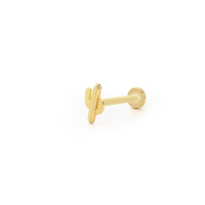 Uzun Boy Kaktüs Model Tragus Piercing - 1