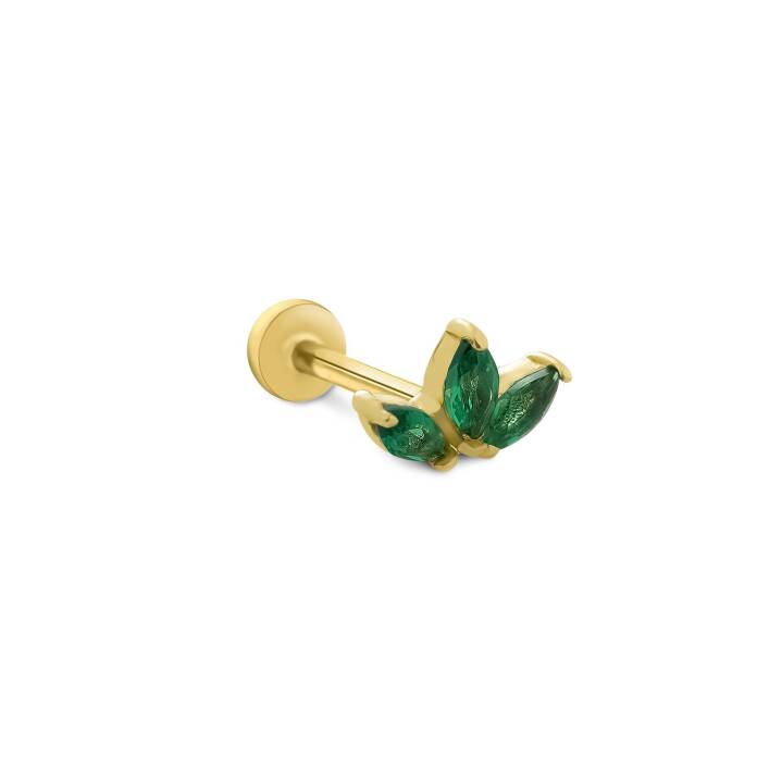 Yeşil Lotus Tragus - 1