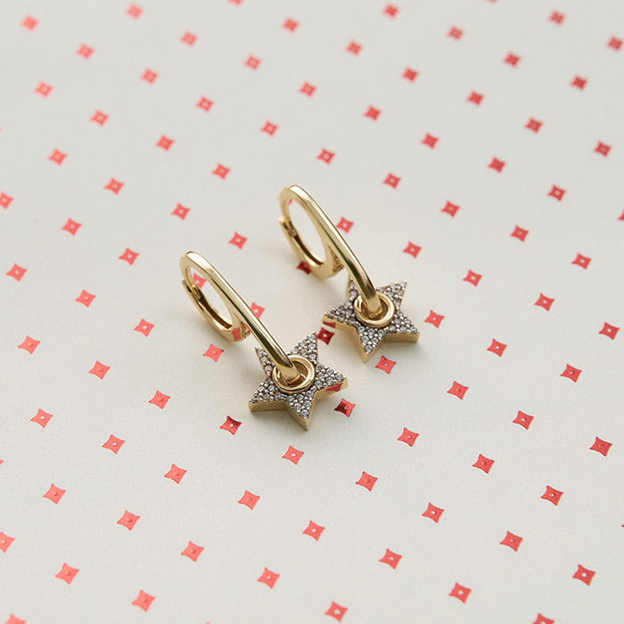 Yıldız Fısıltısı Küpe - Arax (1)