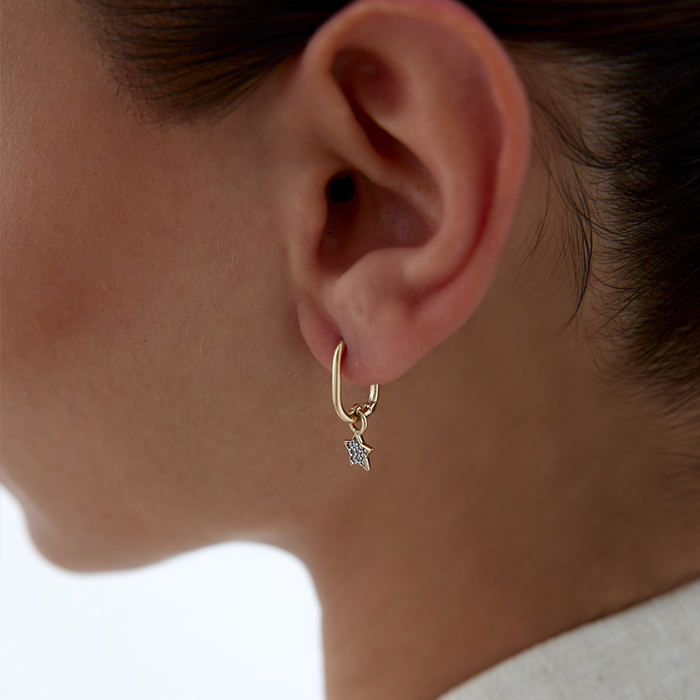 Yıldız Taşlı Ataç Küpe - Arax (1)