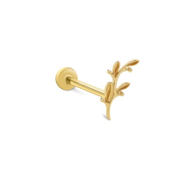 Zeytin Dalı Tragus - Alen